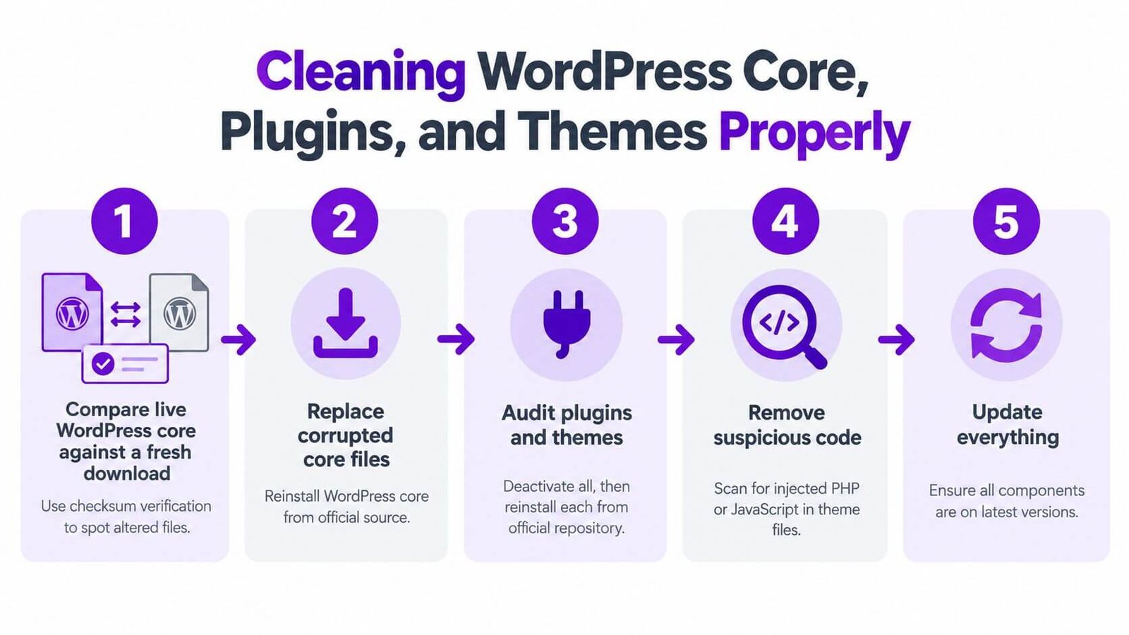 A five-step infographic showing how to clean WordPress core files, plugins, and themes after malware infection.